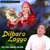 About Dilbaro Lagyo Song